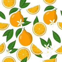 Vector cartoon seamless pattern with Citrus tangelo or honeybells exotic fruits, flowers and leafs on white background