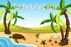 Many turtles on the beach scene with Turtle Life Cycle Font vector