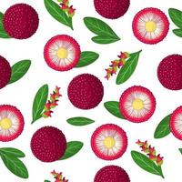 Vector cartoon seamless pattern with Myrica rubra or yangmei exotic fruits, flowers and leafs on white background