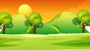 Blank meadow landscape scene at sunset time vector