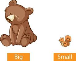 Opposite adjectives words with big and small vector
