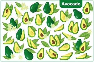 Conjunto de ilustraciones de dibujos animados vectoriales con frutas exóticas de aguacate, flores y hojas aisladas sobre fondo blanco vector