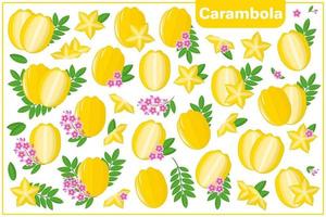 Set of vector cartoon illustrations with Carambola exotic fruits, flowers and leaves isolated on white background