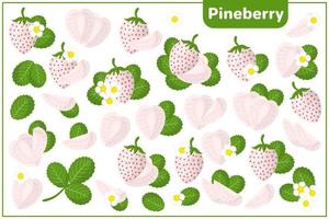 Set of vector cartoon illustrations with Pineberry exotic fruits, flowers and leaves isolated on white background