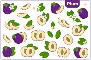 conjunto de ilustraciones de dibujos animados de vector con ciruela frutas exóticas, flores y hojas aisladas sobre fondo blanco