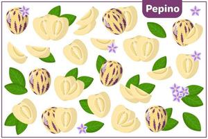 Set of vector cartoon illustrations with Pepino exotic fruits, flowers and leaves isolated on white background