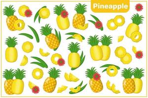 Set of vector cartoon illustrations with Pineapple exotic fruits, flowers and leaves isolated on white background