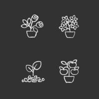 Gardening store categories chalk white icons set on black background vector