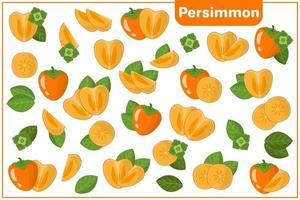 Set of vector cartoon illustrations with Persimmon exotic fruits, flowers and leaves isolated on white background