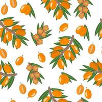 Vector cartoon seamless pattern with Hippophae or Sea buckthorn exotic fruits, flowers and leafs on white background