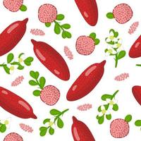 Vector cartoon seamless pattern with Citrus red fingerlime exotic fruits, flowers and leafs on white background