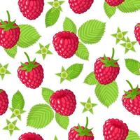 Vector cartoon seamless pattern with Rubus idaeus or Raspberry exotic fruits, flowers and leafs on white background