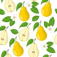 Vector cartoon seamless pattern with Pyrus or Pear exotic fruits, flowers and leafs on white background