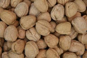 Natural walnut background pattern photo