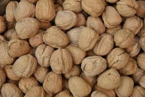 Natural walnut background pattern texture photo