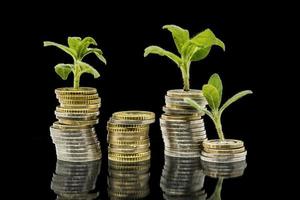 Plants grow out of stacked money coins against a black background photo