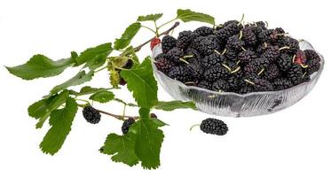 A bowl full of black mulberries decorated with mulberry leaves and unripe fruits photo