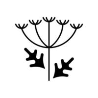 Queen Annes lace black glyph icon vector