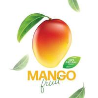 Fresh mango with slices and leaves illustration