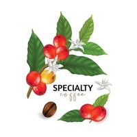 Vector illustration of Specialty coffee