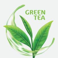 Realistic green tea leaves Vector