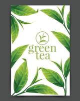 Realistic green tea leaves Vector