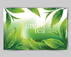 Realistic green tea leaves Vector
