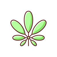 Schefflera RGB color icon vector