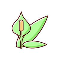 Spathiphyllum RGB color icon vector