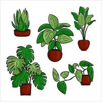 Vector collection of potted houseplants in a flat cartoon style. A set of elements for decorating your home, room or office. Isolated elements on a white background.