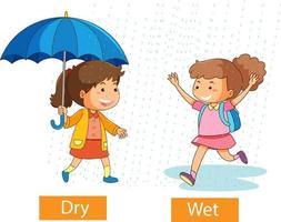 Opposite adjectives words with dry and wet vector