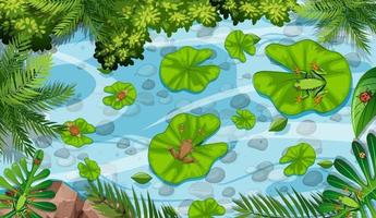 Aerial scene with frogs and lotus leaves in the pond vector