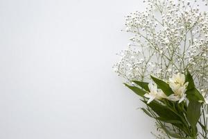 Top view baby's breath and white lilies on white background