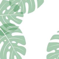 monstera - hoja de vector sobre un fondo cuadrado blanco, lugar para el texto