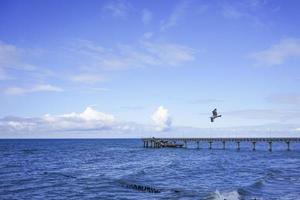 Seascape overlooking the long pier of the resort town with walking people. photo