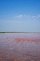 paisaje natural con vista al lago salado rosado. foto