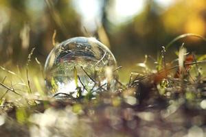 A lens ball in an autumn forest photo