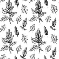 Quinoa seamless pattern. Vector illustration in sketch style