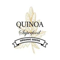 Quinoa vintage logo with hand drawn element. Vector illustration in sketch style