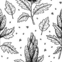 Quinoa seamless pattern. Vector illustration in sketch style