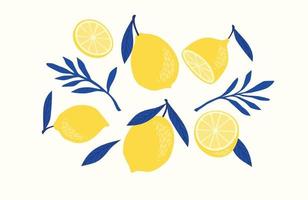 Set of drawn lemons. Citrus fruits, lemons, limes. Vector illustration. Isolated elements