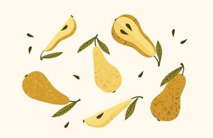 Set of drawn pears, Vector illustration. Isolated elements