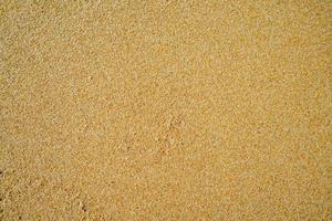 Natural background with yellow sand photo