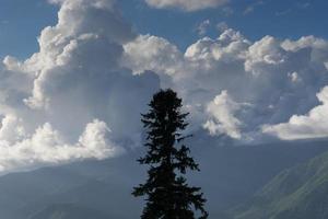 silhouette of tree against mountain landscape photo