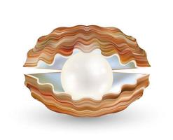 bright pearl in a opened sea shell vector