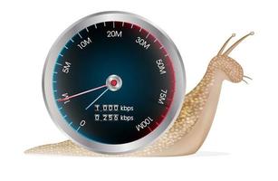 snail with internet speed test meter vector