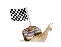 caracol con bandera de carreras vector