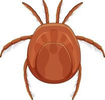 Tick blood parasite in cartoon style isolated on white background vector