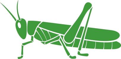 green grasshopper- locust vector