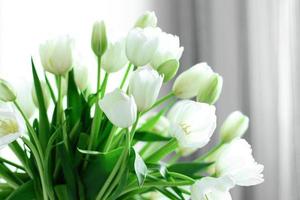 Bouquet of white tulips photo